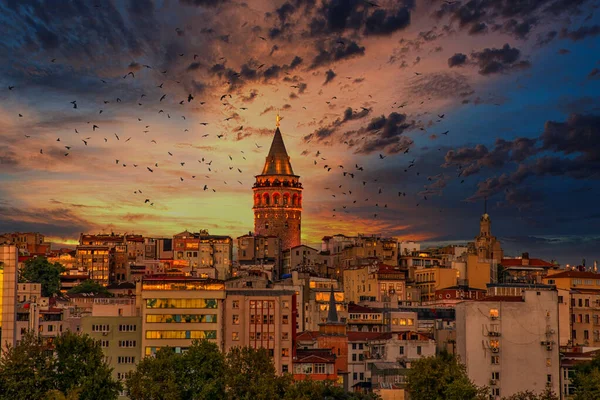 Pôr Sol Pássaros Torre Galata Torre Galata Uma Das Torres — Fotografia de Stock