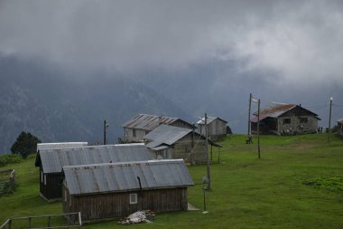 Rize, Turkey - August 16 2017 : Old man working in the highland. Landscape photo was taken in summer.