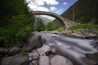 Frtna Deresi üzerinde güneşli bir günde eski bir tarihi taş köprü. Rize, Türkiye
