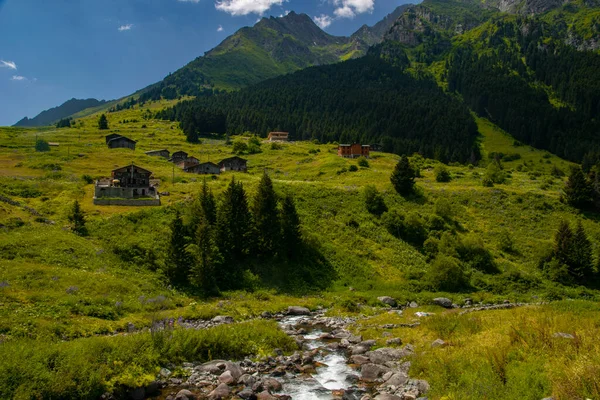 Schöne Landschaften Aus Dem Hochland Von Rize Der Schwarzmeerregion Der — Stockfoto