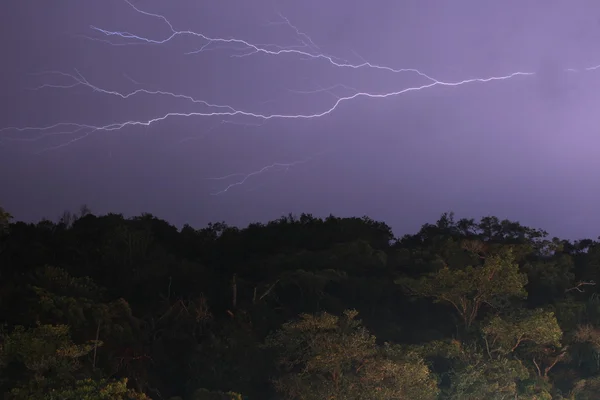 Cameron highland adlı yıldırım