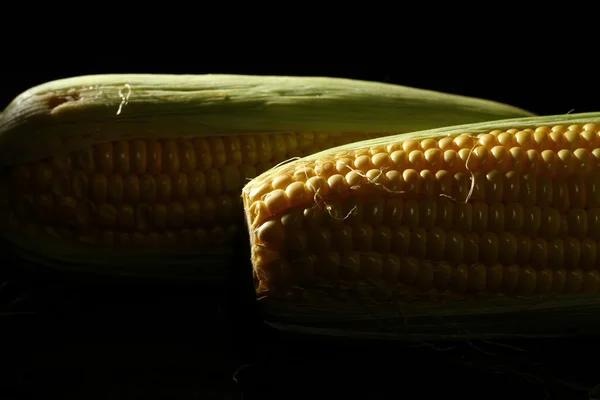 Sockermajs eller majs — Stockfoto