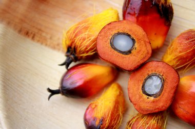 Palm Oil Fruit clipart