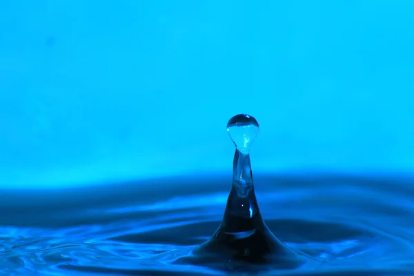 mavi su damlacığı