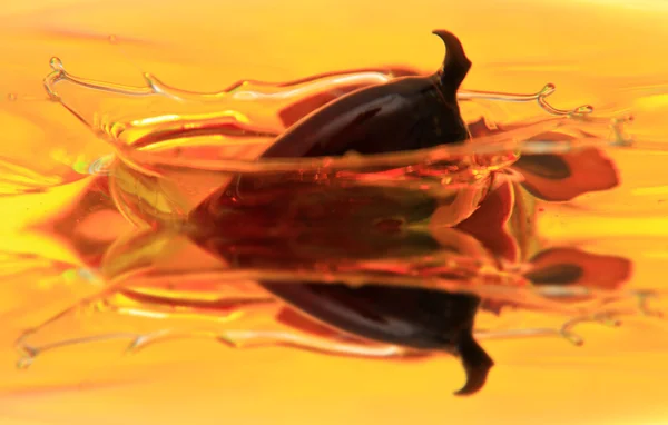 Пальмовое масло — стоковое фото