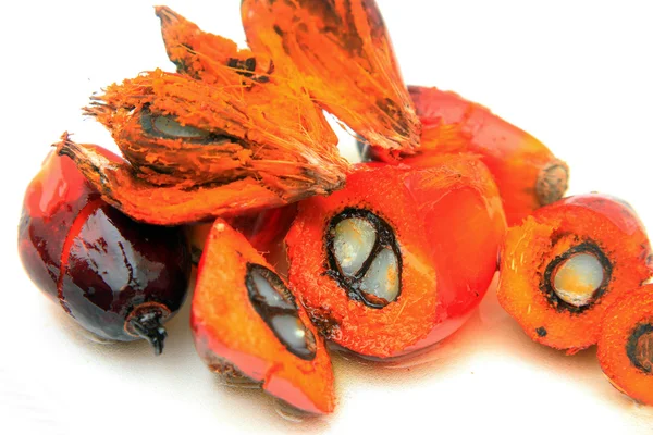 taze hurma meyve / palm yağı