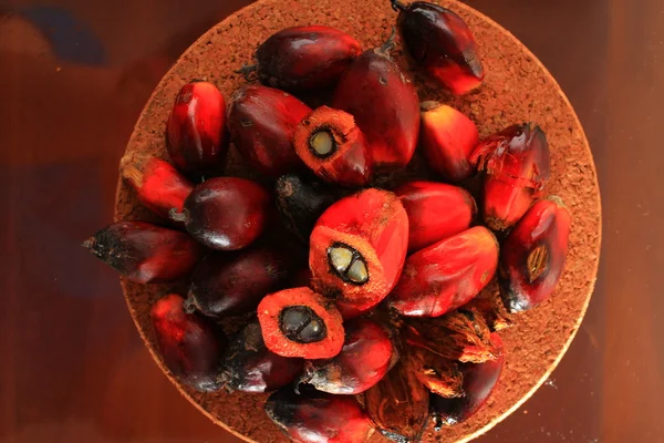 taze hurma meyve / palm yağı