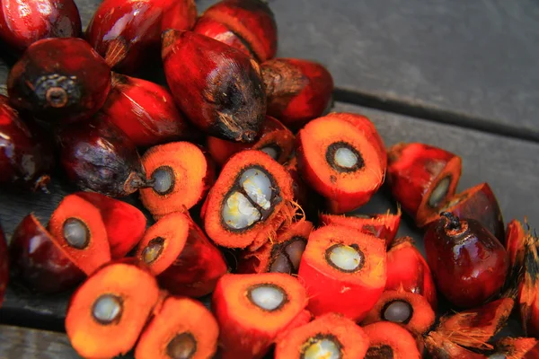 Φρέσκο palm φρούτων / φοινικέλαιο Φωτογραφία Αρχείου