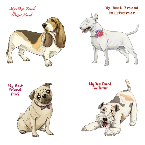 Raças de cães definir basset hound, bull terrier, fox terrier, pug — Vetor de Stock