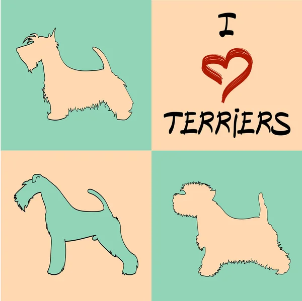 Terrier set volpe terrier irlandesi ovest — Vettoriale Stock