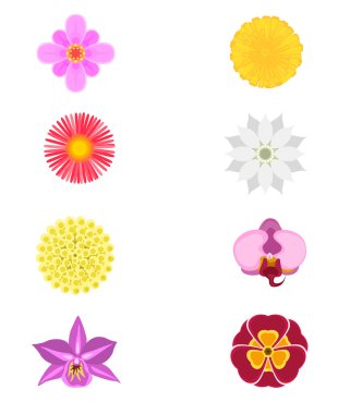 Sekiz çiçek kümesi