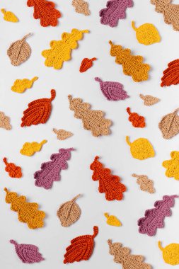 Örgü meşe yapraklarından yapılmış desen. Sonbahar arkaplanı. Sonbahar havası 