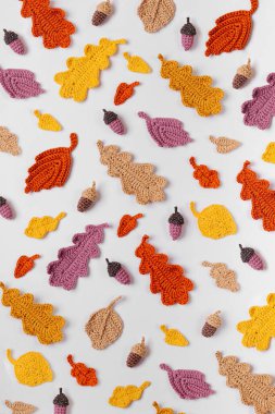 Örgü meşe yapraklarından yapılmış desen. Sonbahar arkaplanı. Sonbahar havası 