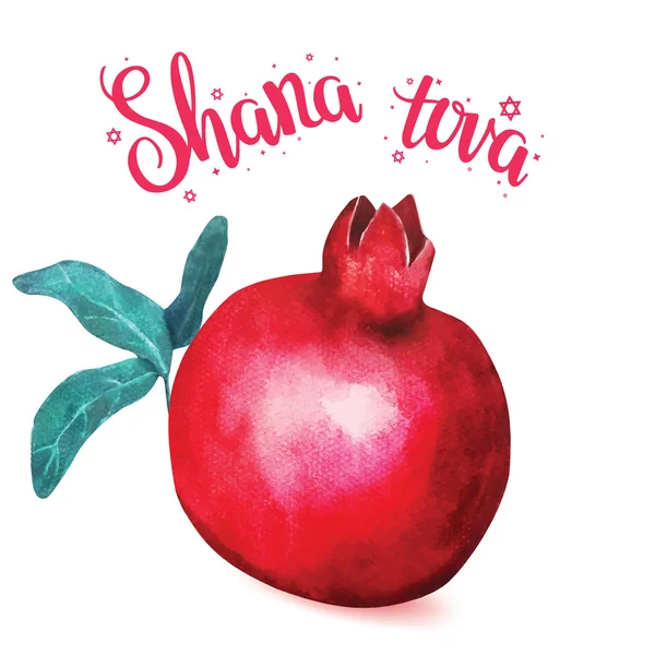 Hand written lettering with text "Shana tova". — Stock Vector