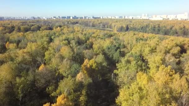 aérienne automne étang rivière parc forêt réserve naturelle lac feuille par drone 