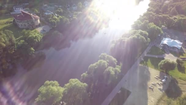 Aéreo otoño estanque río parque bosque hotel casa edificio hospital reserva natural lago hoja por dron — Vídeos de Stock