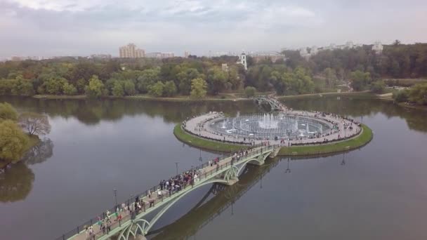 Estanque aéreo de otoño parque fluvial bosque reserva natural lago hoja por dron — Vídeos de Stock
