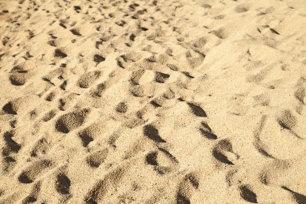 Lines in the sand of a beach. Mediterranean