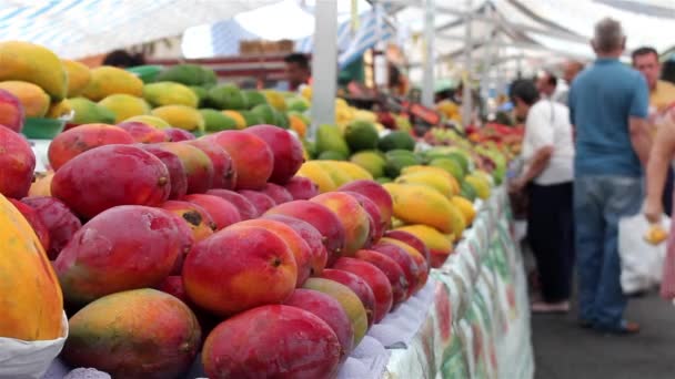 Folk köper frukt — Stockvideo