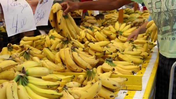 Люди покупают фрукты — стоковое видео