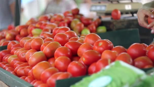 Gente comprando tomates en el mercado — Vídeo de stock