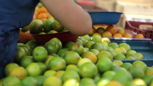 Уличный рынок в Сан-Паулу с фруктами — стоковое видео