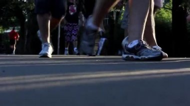 Ibirapuera Parkı Sao Paulo şehrinde