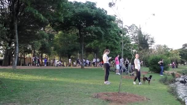 Ibirapuera Park at Sao Paulo city — Stock Video