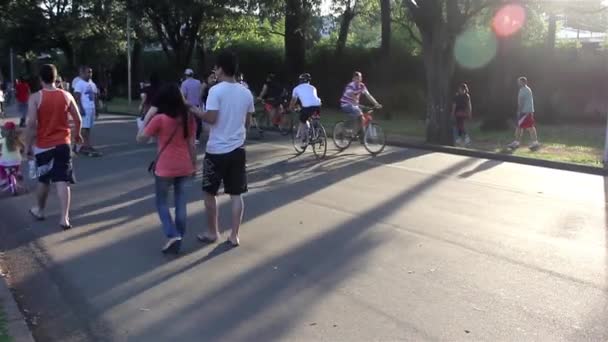 Parque Ibirapuera en la ciudad de Sao Paulo — Vídeos de Stock