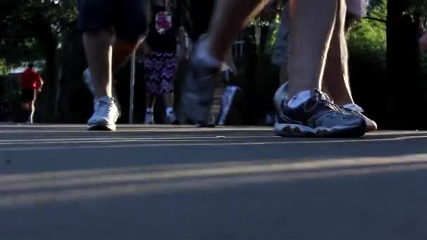 Parque Ibirapuera na cidade de São Paulo — Vídeo de Stock