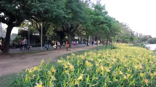 Parco Ibirapuera a San Paolo — Video Stock