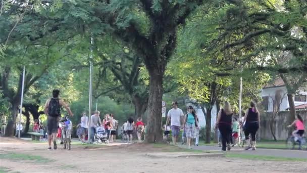 Ibirapuera park in der stadt sao paulo — Stockvideo