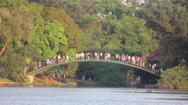 Ibirapuera Park at Sao Paulo city — Stock Video