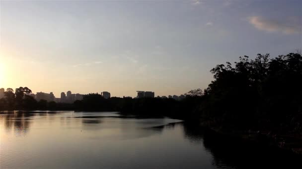 Sunset in Ibirapuera Park — Stock Video