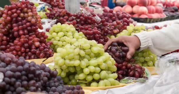 Великий вільний ринок в Паулу — стокове відео