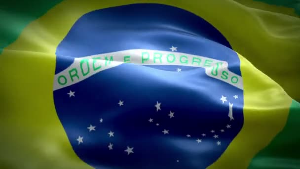 La animación de la bandera de Brasil — Vídeo de stock