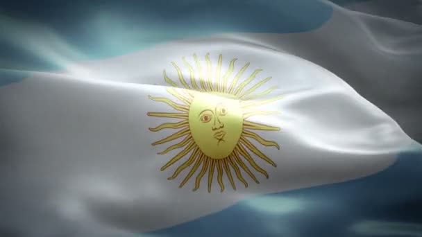 The flag animation of the Argentina — Stock Video