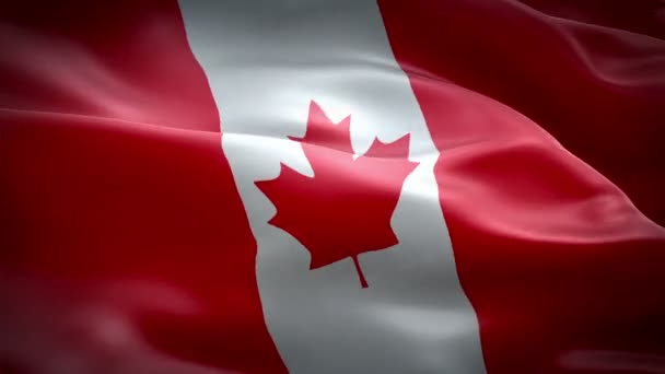 L'animation drapeau du Canada — Video