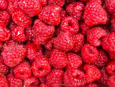 Taze olgun ahududu gibi..