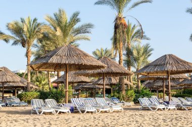 Sahilde plaj sandalyeleri ve şemsiyeler.