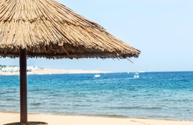 Sahilde bir plaj şemsiyesi. Metin için boşluk.