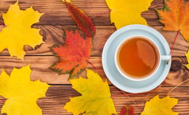 Sonbahar yapraklı bir fincan çay. Üst Manzara. Metin için boşluk.