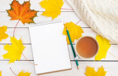 Bir fincan çay, kalem, sonbahar yaprakları ve beyaz ahşap masada örülmüş eşarpla dolu boş bir not defteri. Üst Manzara. Metin için boşluk.
