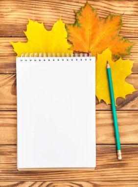 Kalem ve sonbahar yapraklı boş not defteri. Metin için boşluk.