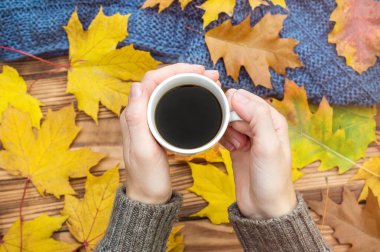 Bir kadının elleri masanın üzerinde sonbahar yaprakları ve örülmüş eşarpla sıcak bir fincan kahve tutuyor. Üst görünüm.