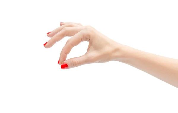 Ręka Kobiety Coś Trzyma Odizolowane Biało — Zdjęcie stockowe