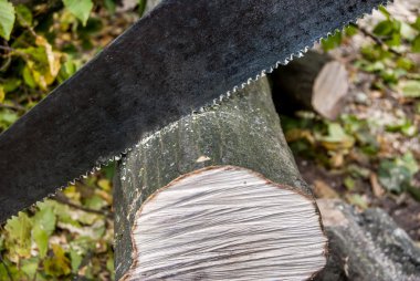 ağaç gövdesi bir testere ile kesme