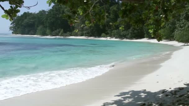 Playa tropical con arena blanca — Vídeo de stock