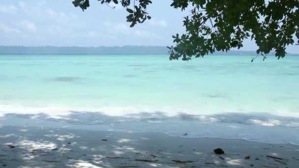 Tropisch strand met wit zand kokosnoot boom palmbomen en een gele boot — Stockvideo