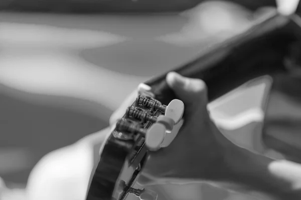 Gitarist. Siyah ve beyaz fotoğraf
